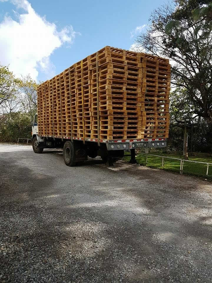 Pallet y Más