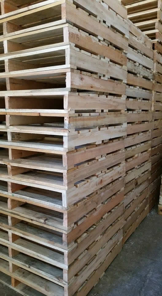 Pallet y Más